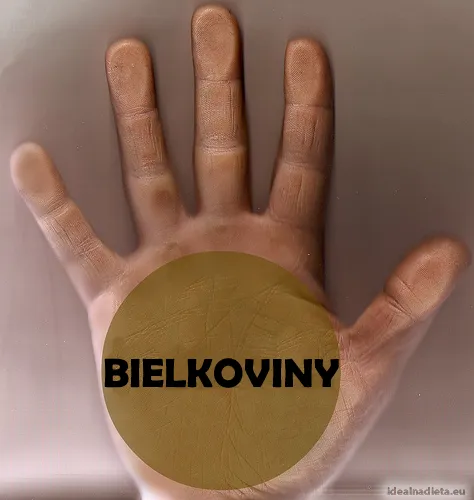 Bielkoviny | catalystgym.com