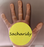 Sacharidy | catalystgym.com