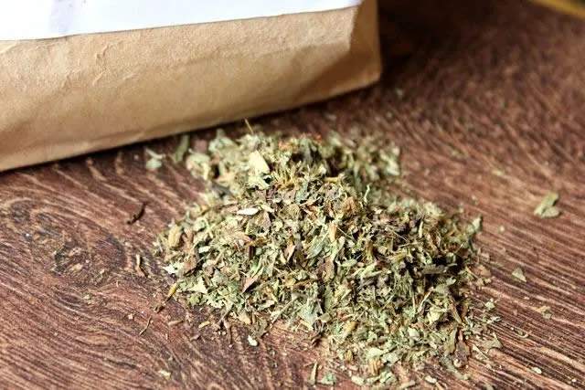 susena stevia