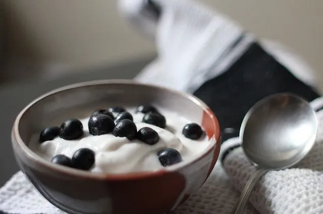 yogurt bielkovina jogurt protein